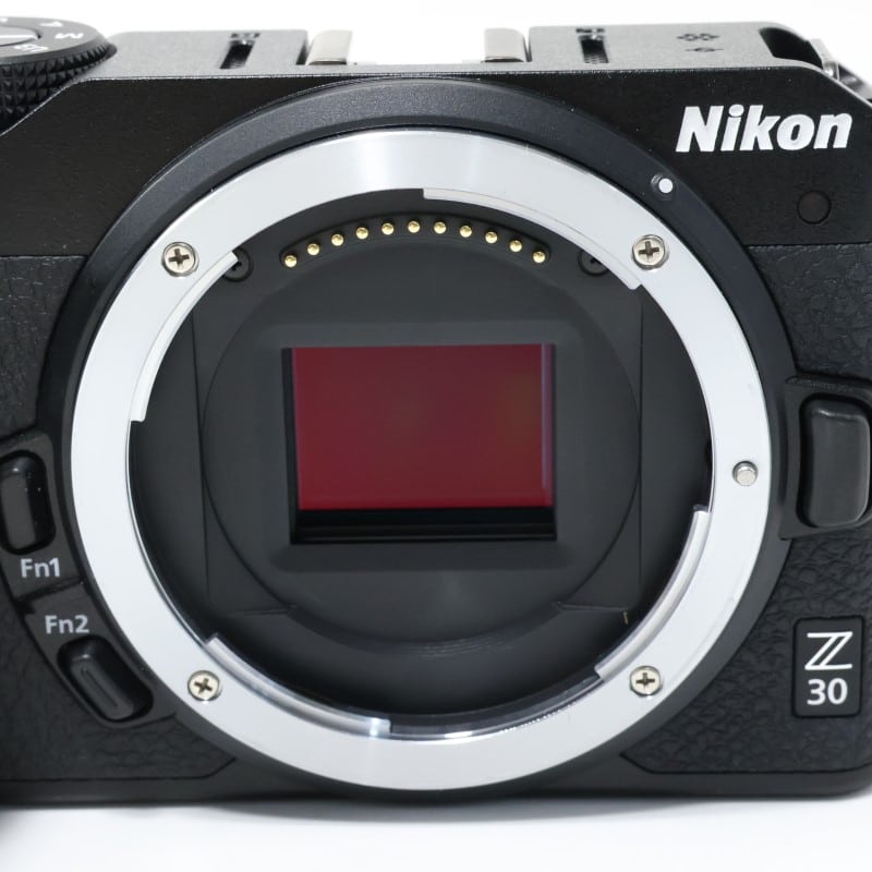 Z30 ボディ