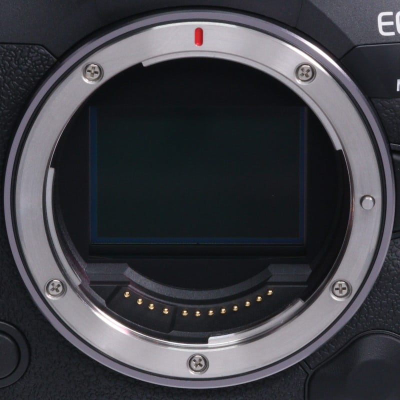 EOS R5 Mark II ボディー