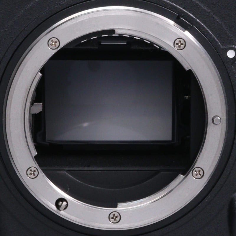 D5 XQD-Type ボディ