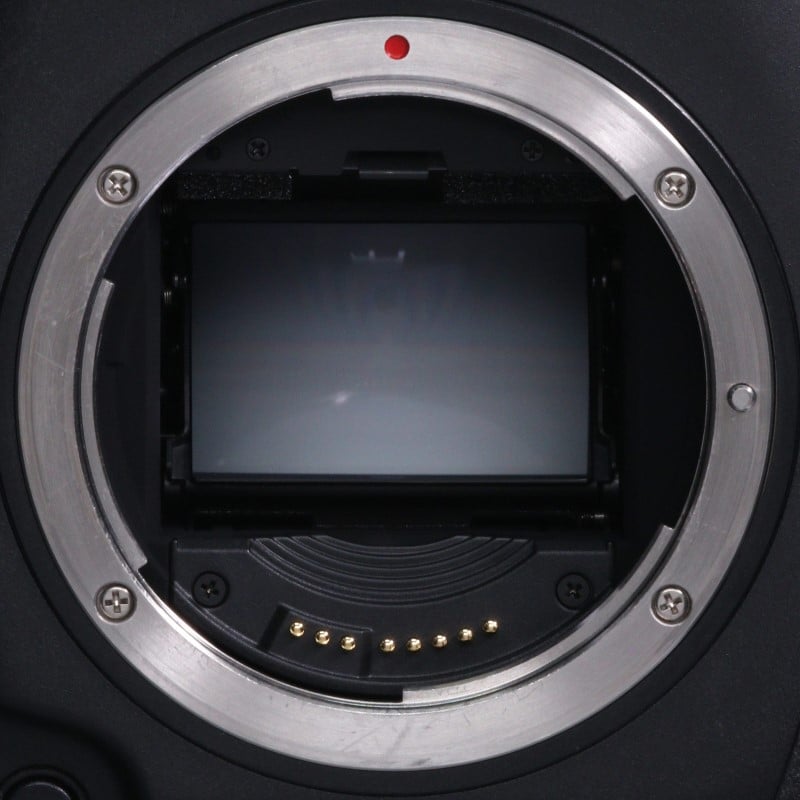 EOS-1D X Mark II ボディー