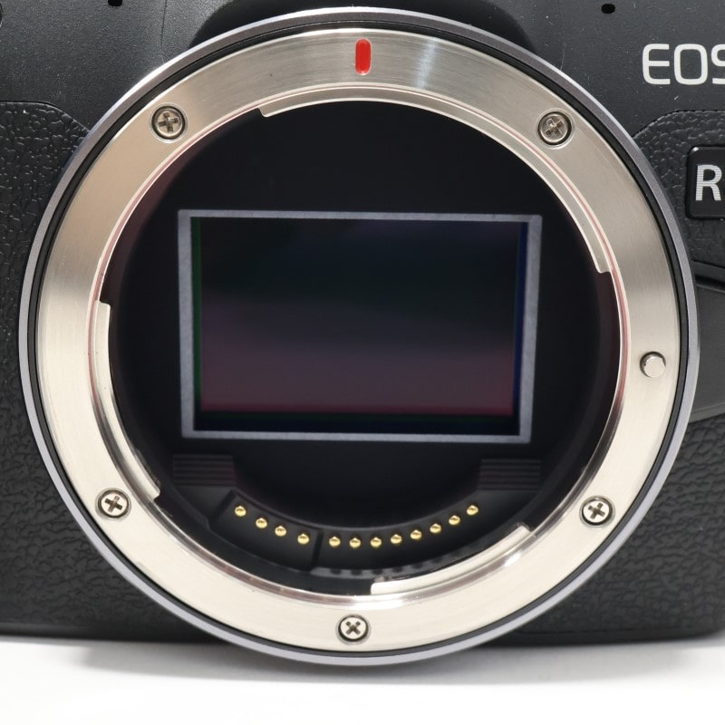 EOS R8 ボディー