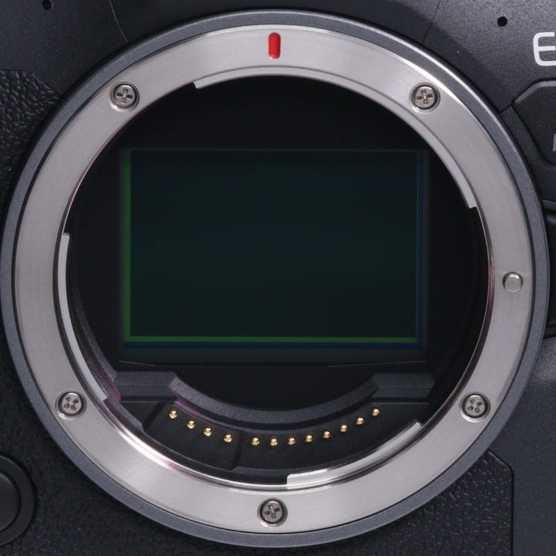 EOS R6 Mark II ボディー