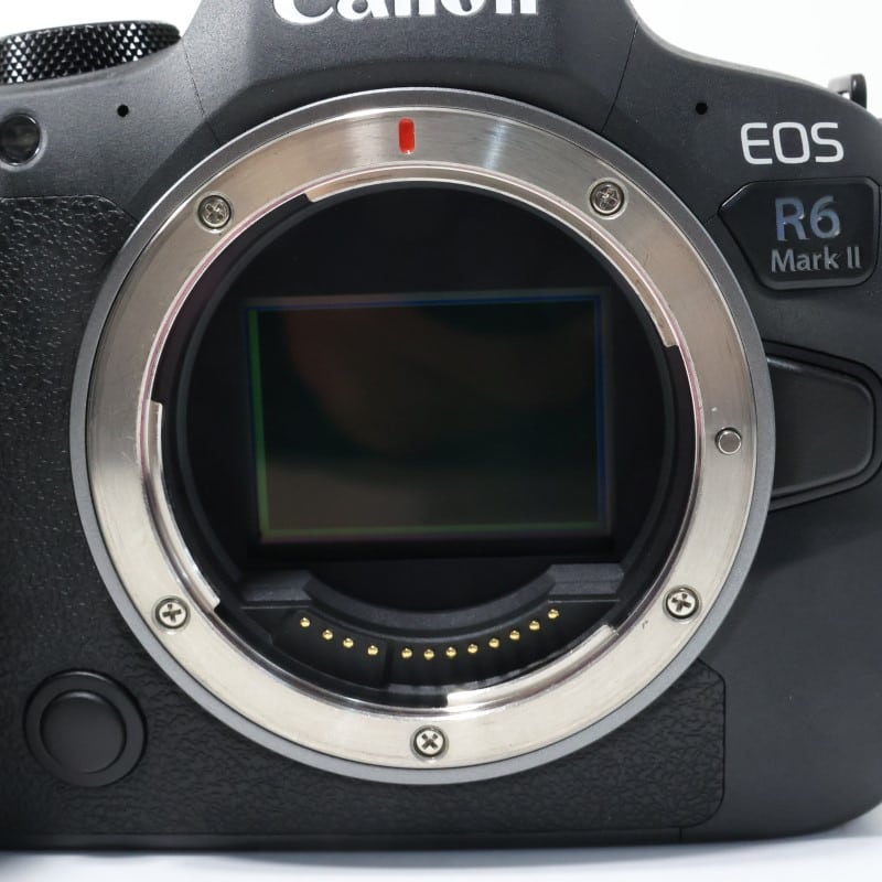 EOS R6 Mark II ボディー