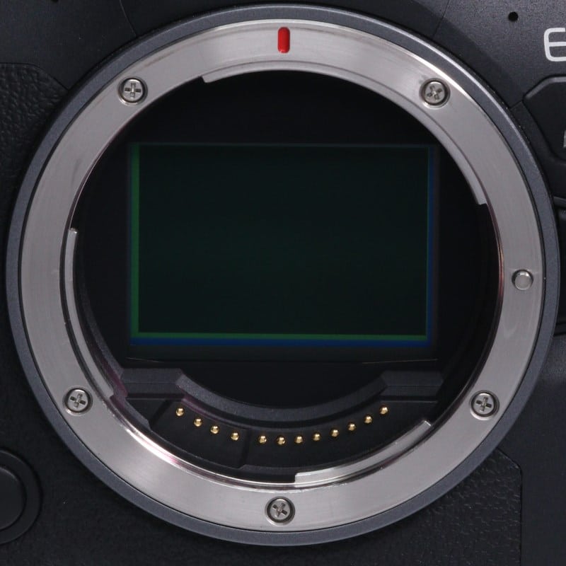 EOS R6 Mark II ボディー