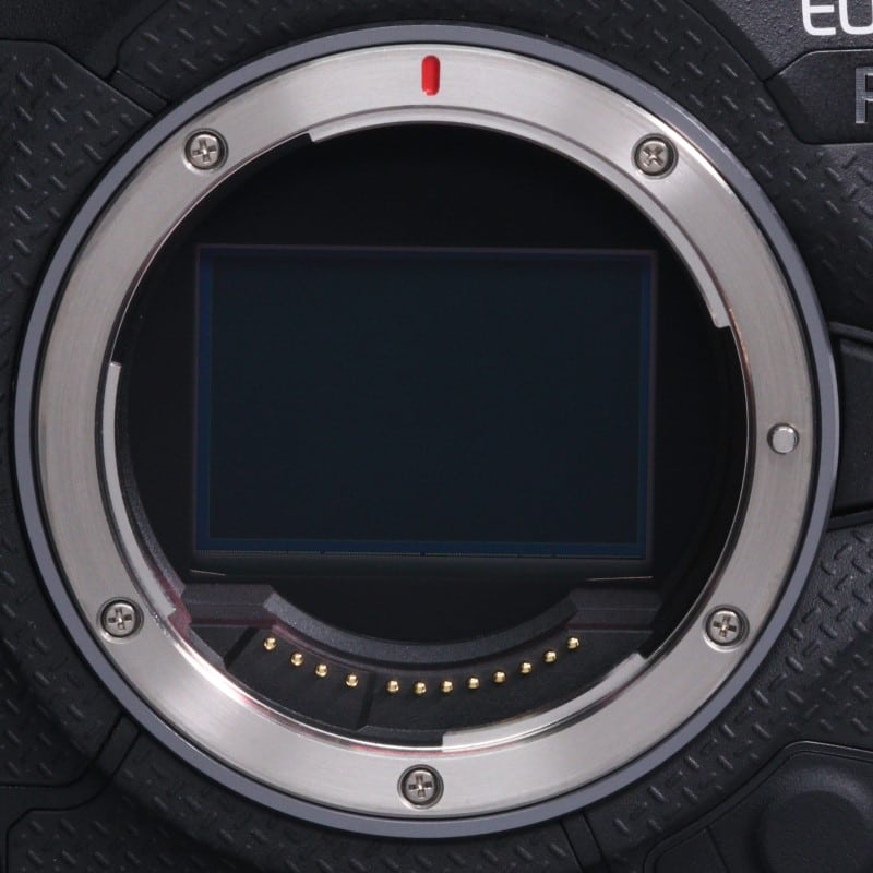 EOS R1 ボディー