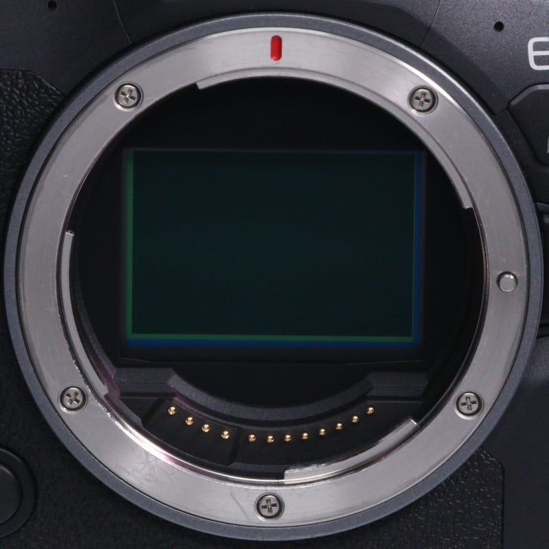 EOS R6 Mark II ボディー