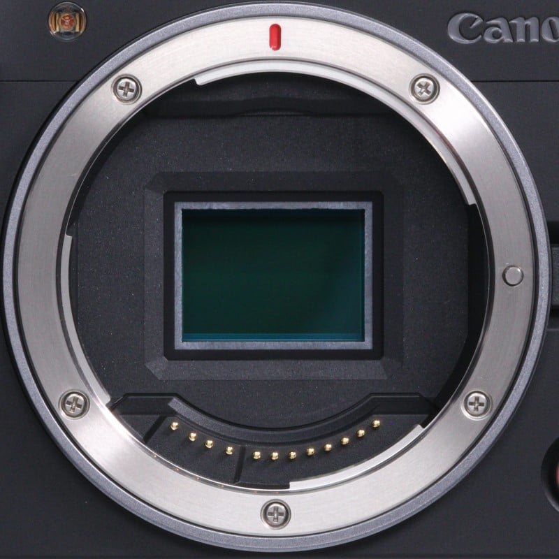 EOS R50 V ボディー