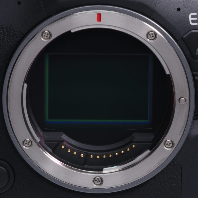 EOS R6 Mark II ボディー