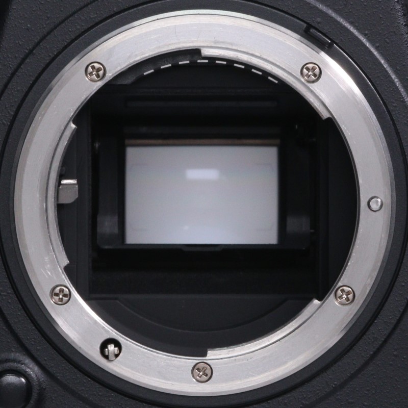 D500 ボディ