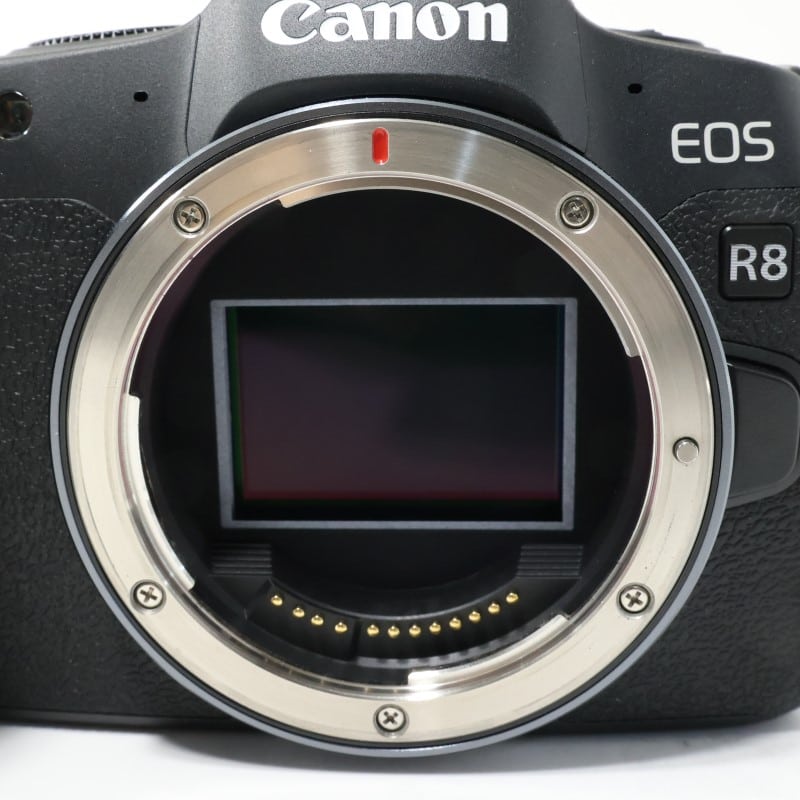 EOS R8 ボディー
