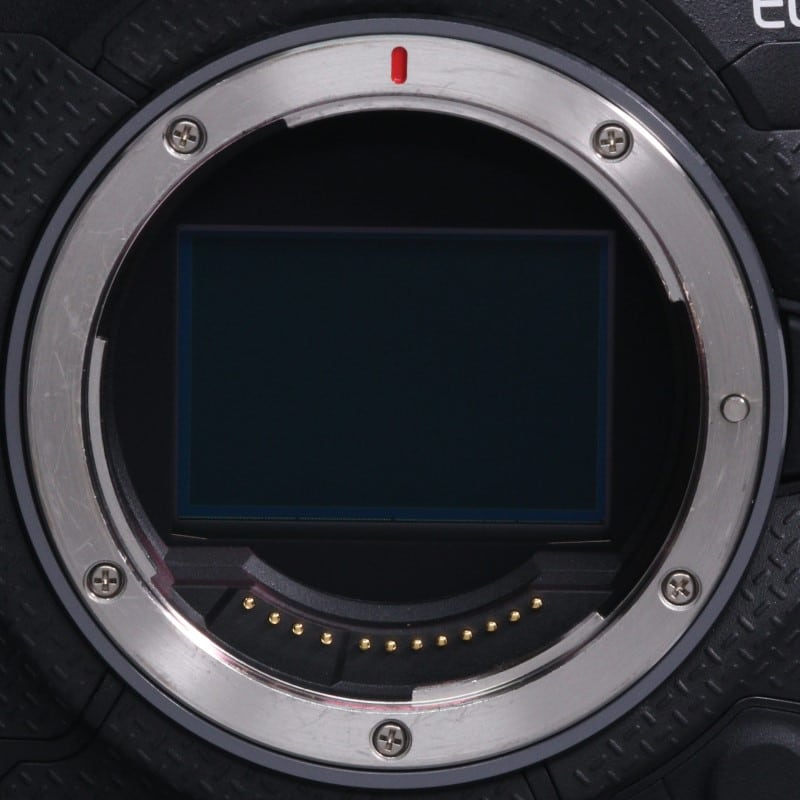 EOS R1 ボディー