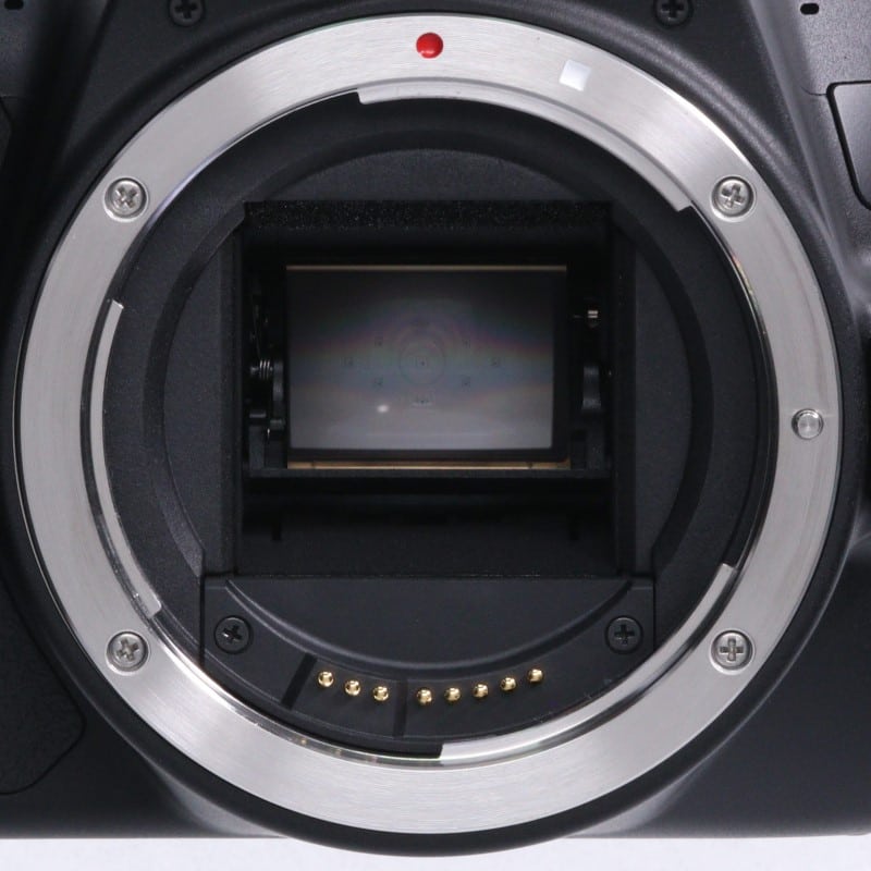 EOS Kiss X10 ボディー ブラック