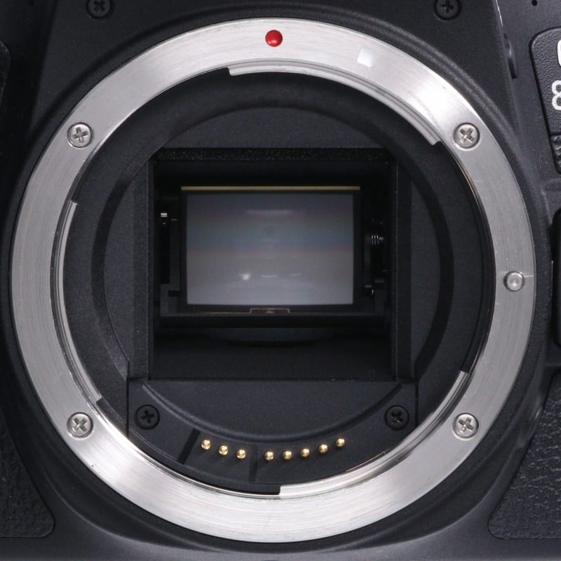 EOS 8000D ボディー