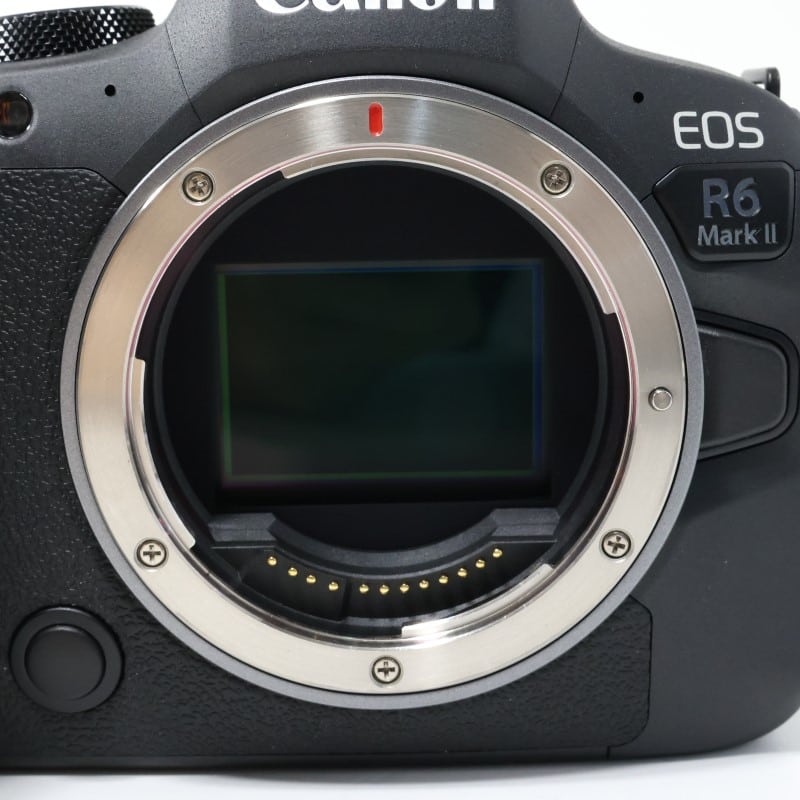 EOS R6 Mark II ボディー