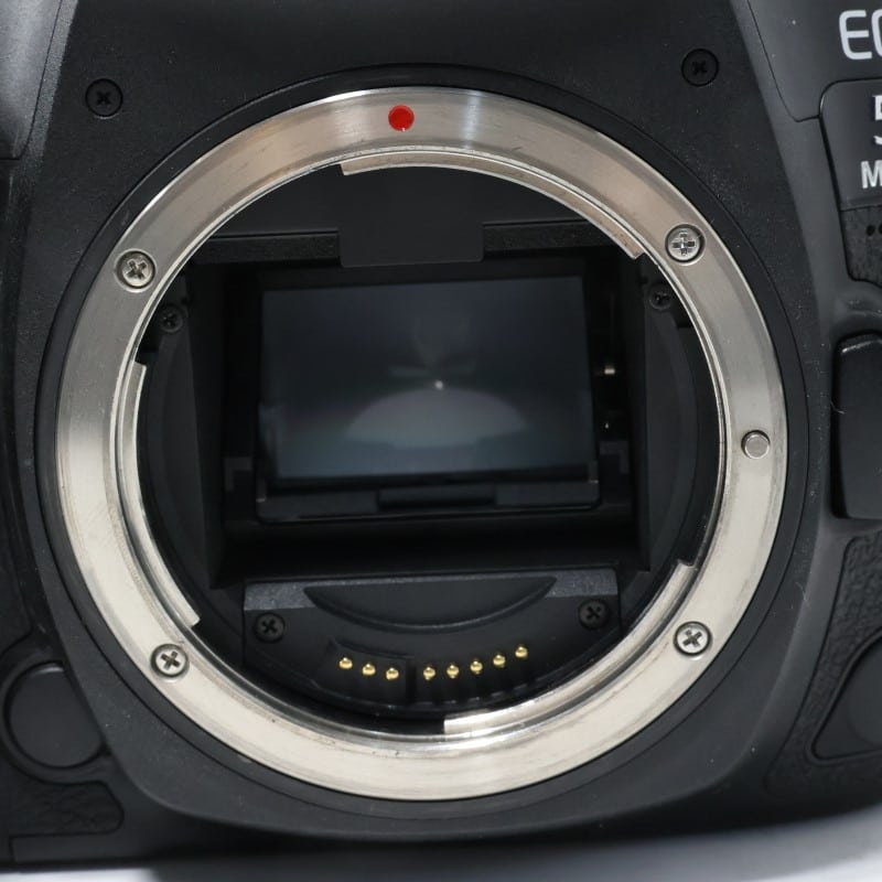 EOS 5D Mark IV ボディー
