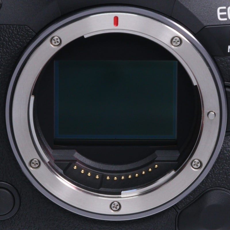 EOS R5 Mark II ボディー