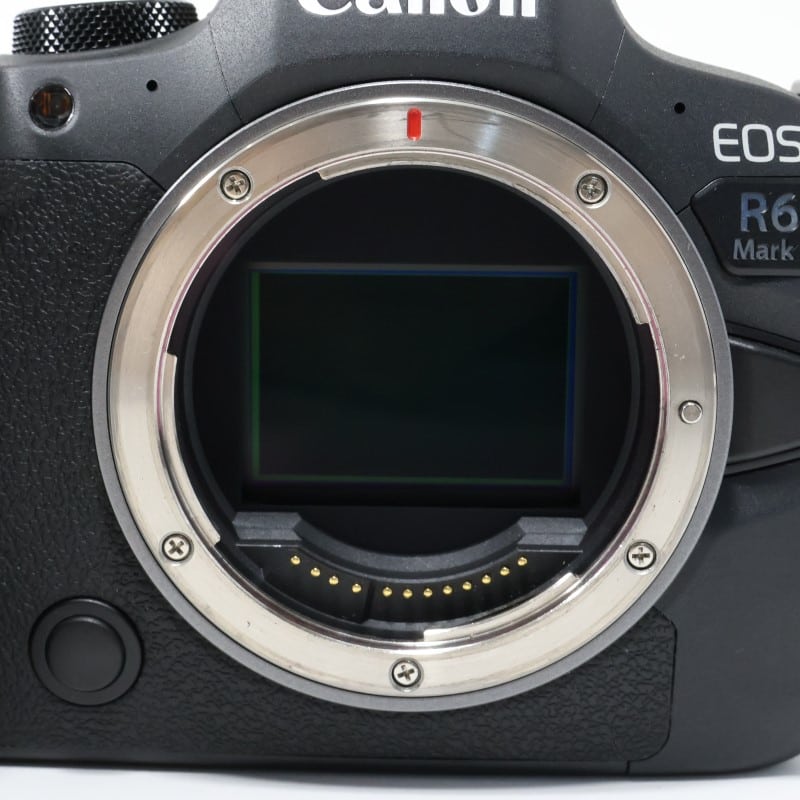 EOS R6 Mark II ボディー
