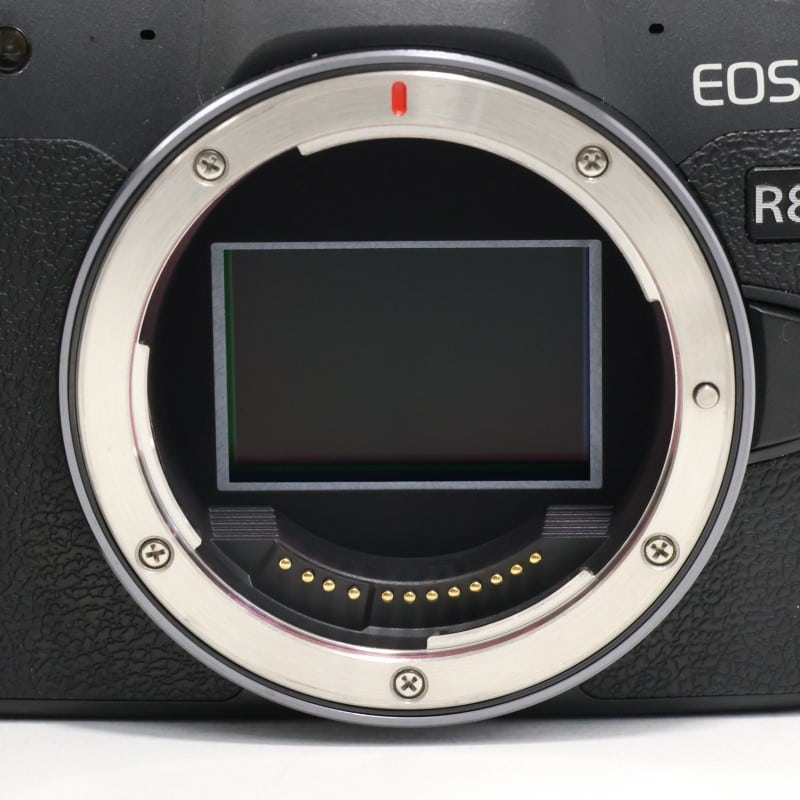 EOS R8 ボディー