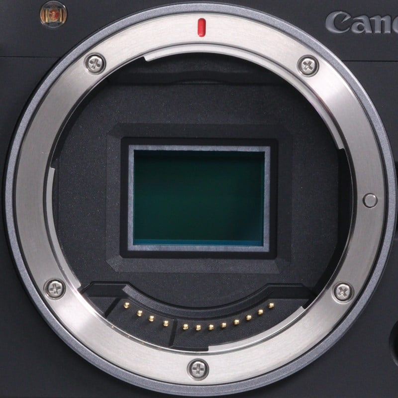 EOS R50 V ボディー