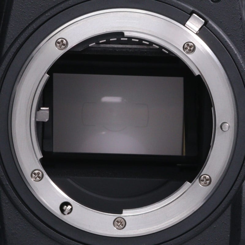 Df ボディ ブラック