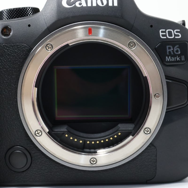 EOS R6 Mark II ボディー
