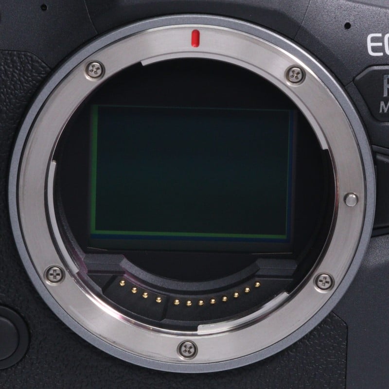 EOS R6 Mark II ボディー