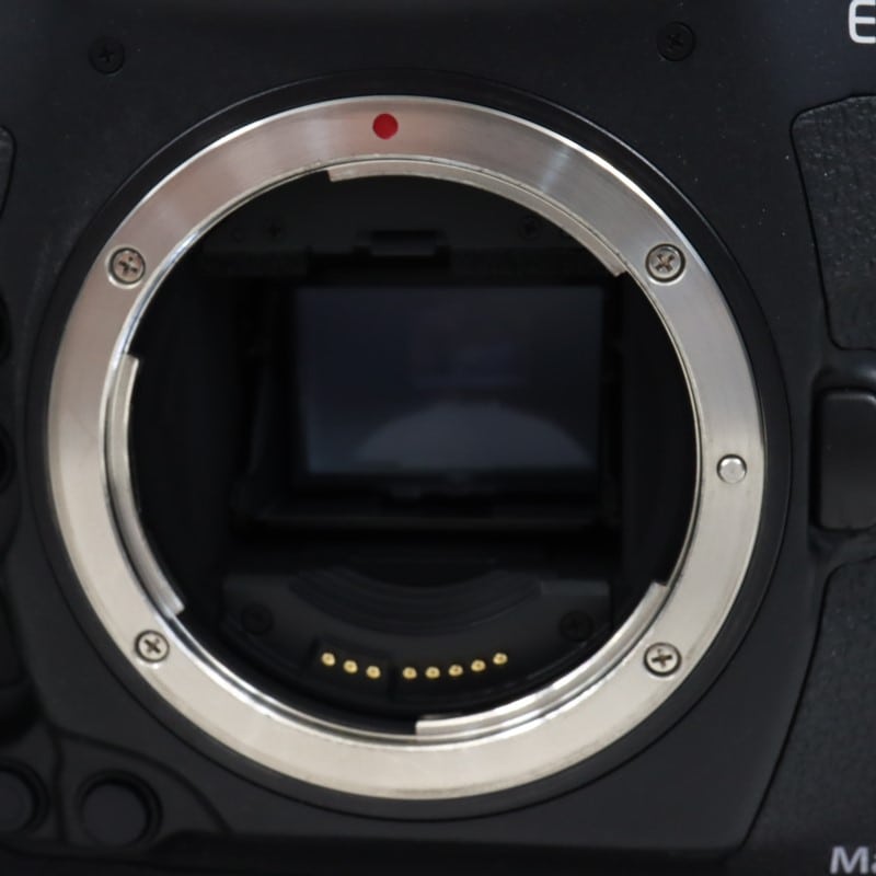 EOS-1D X Mark III ボディー