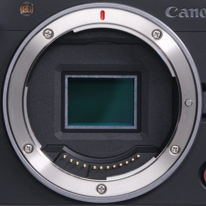 EOS R50 V ボディー