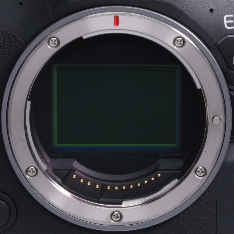 EOS R6 Mark II ボディー