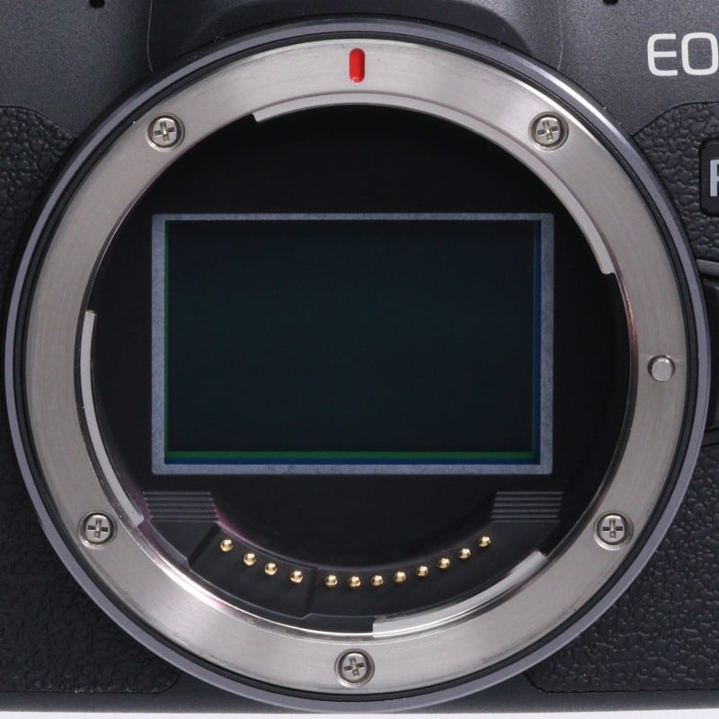 EOS R8 ボディー