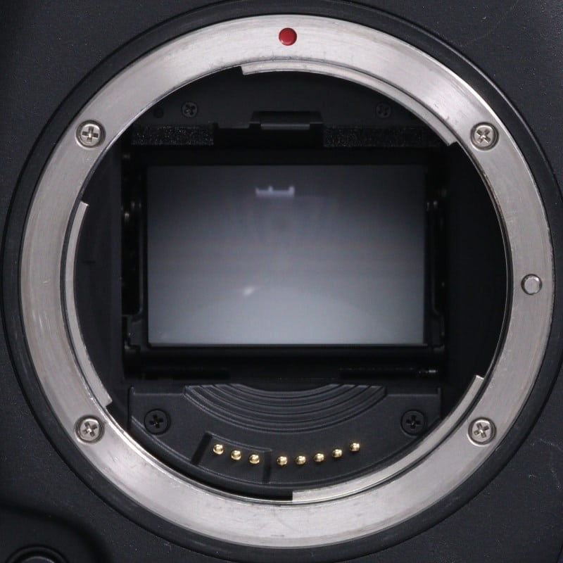 EOS-1D X Mark II ボディー