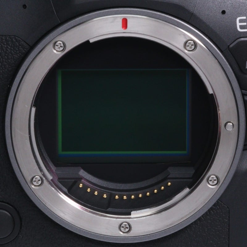 EOS R6 Mark II ボディー