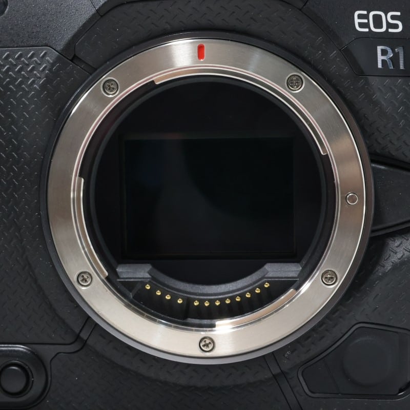 EOS R1 ボディー