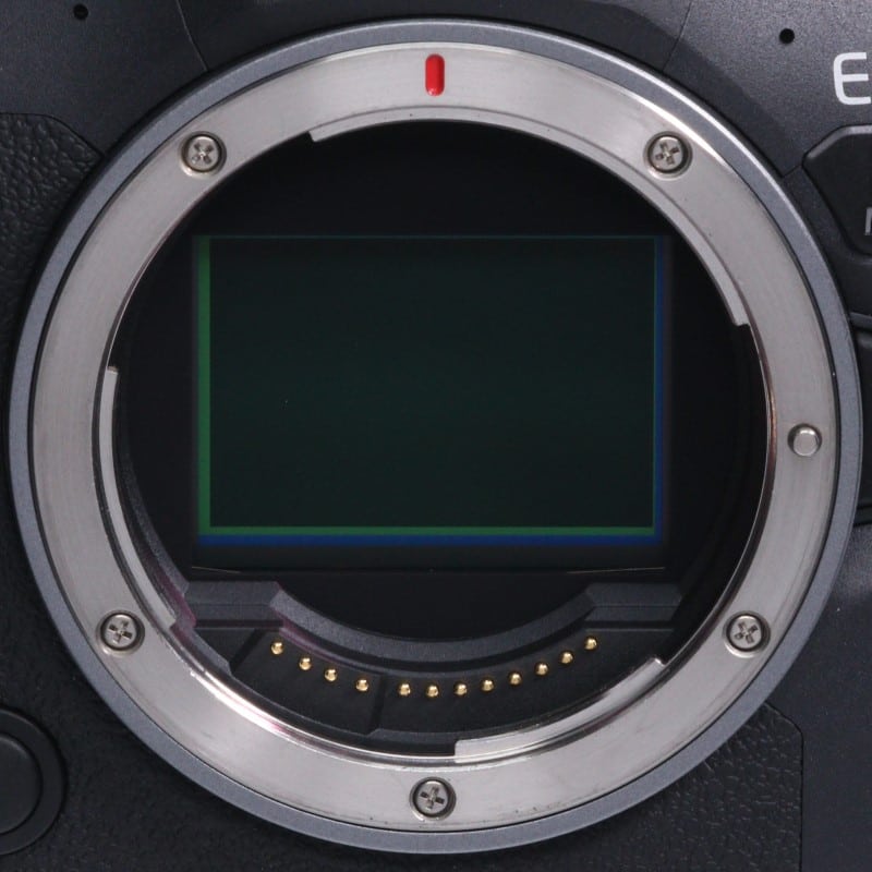 EOS R6 Mark II ボディー