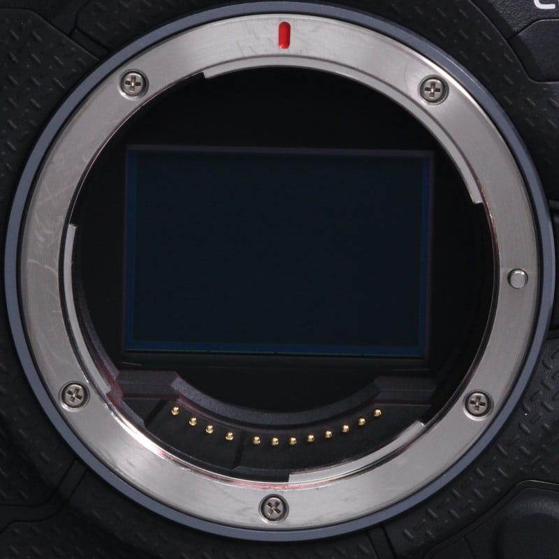 EOS R1 ボディー