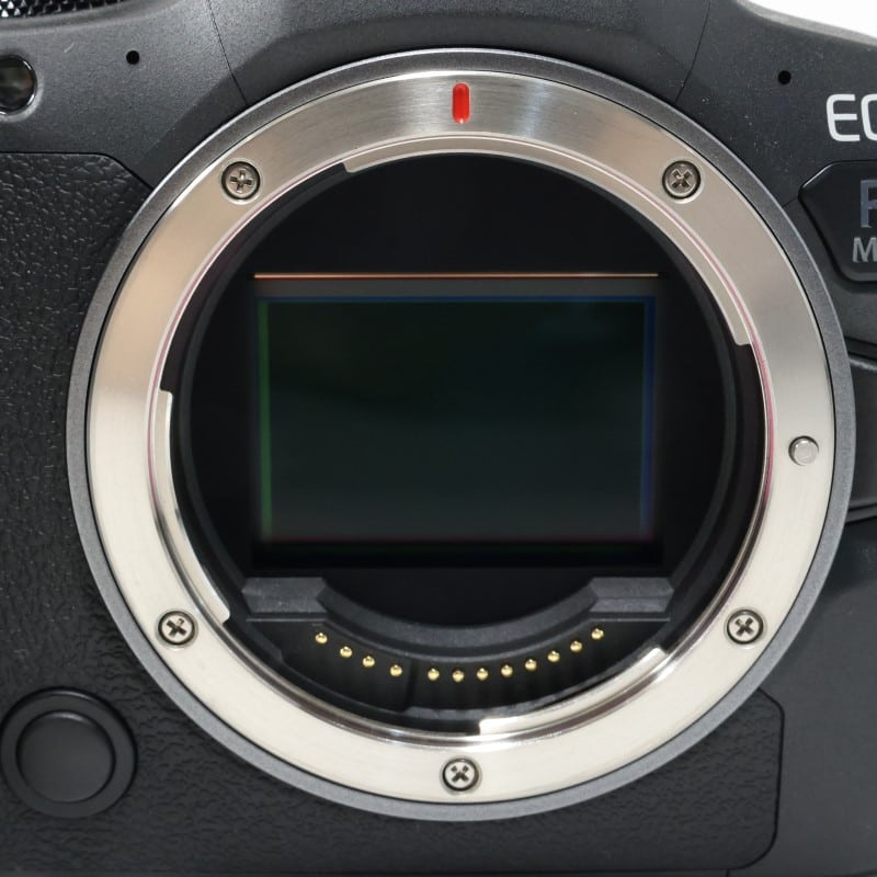 EOS R6 Mark II ボディー