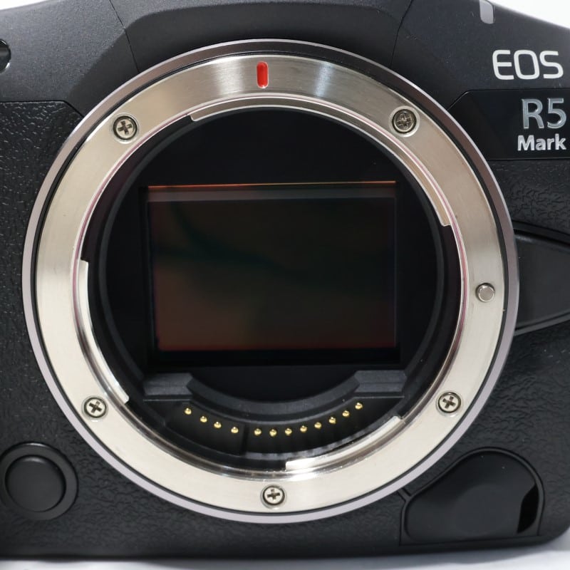 EOS R5 Mark II ボディー