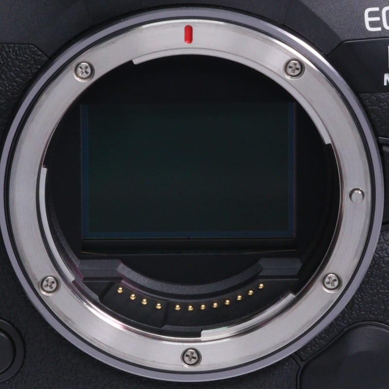 EOS R5 Mark II ボディー