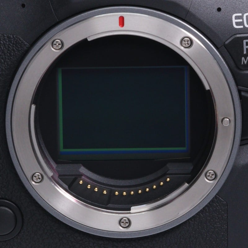 EOS R6 Mark II ボディー