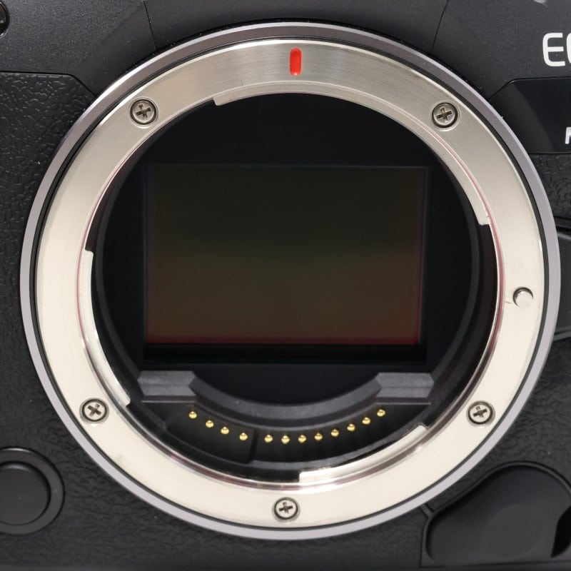 EOS R5 Mark II ボディー