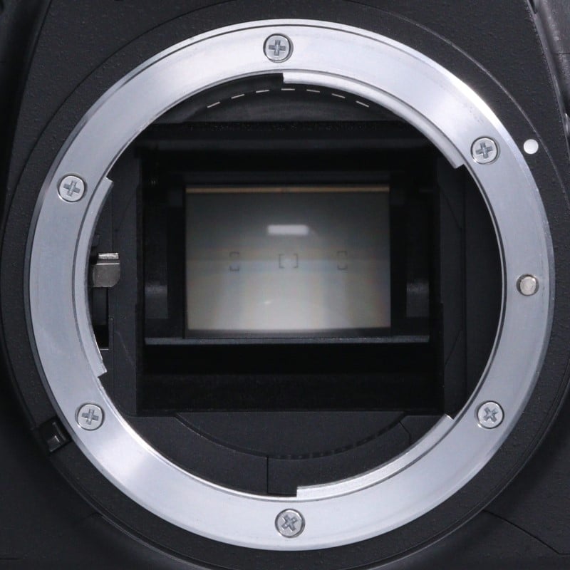 D60 ボディ