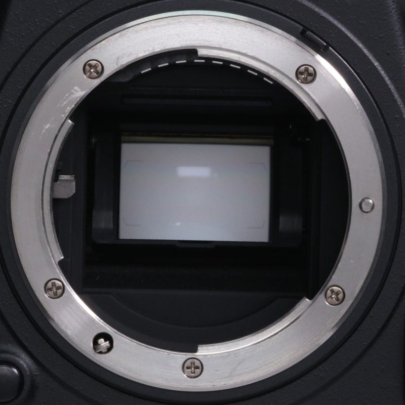 D500 ボディ