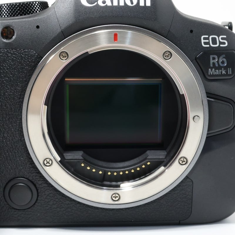 EOS R6 Mark II ボディー