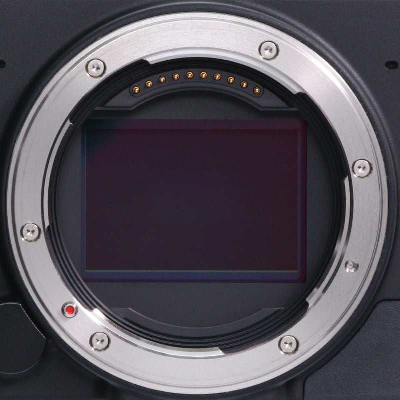 fp L ボディ