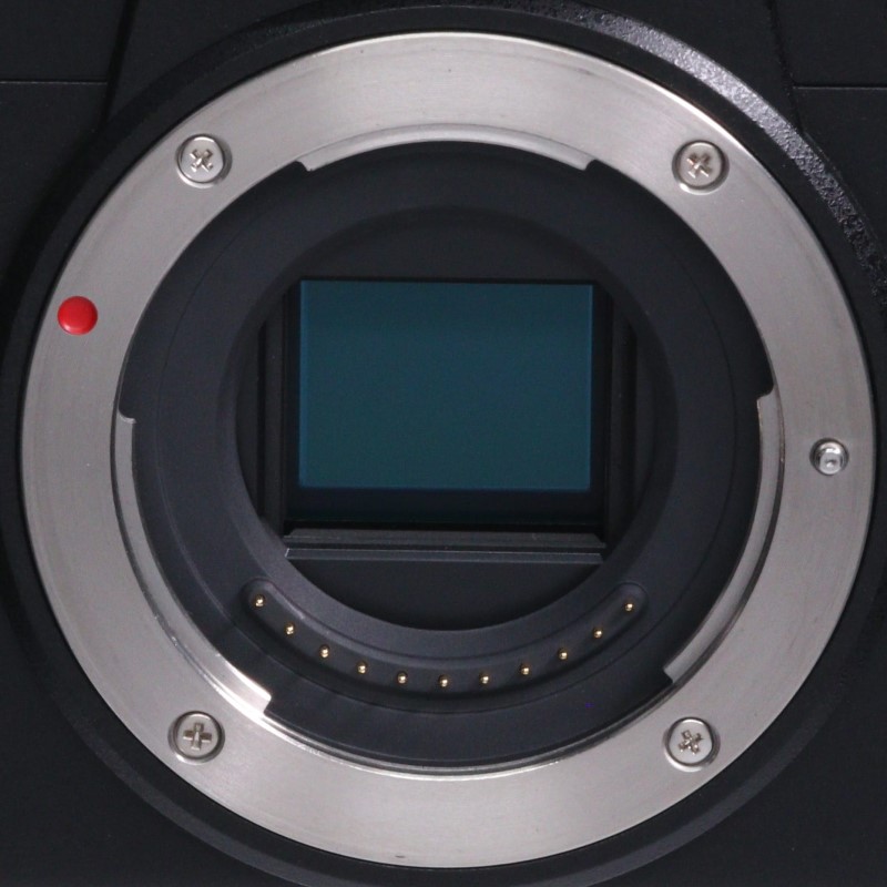LUMIX G100 DC-G100 ボディ単体