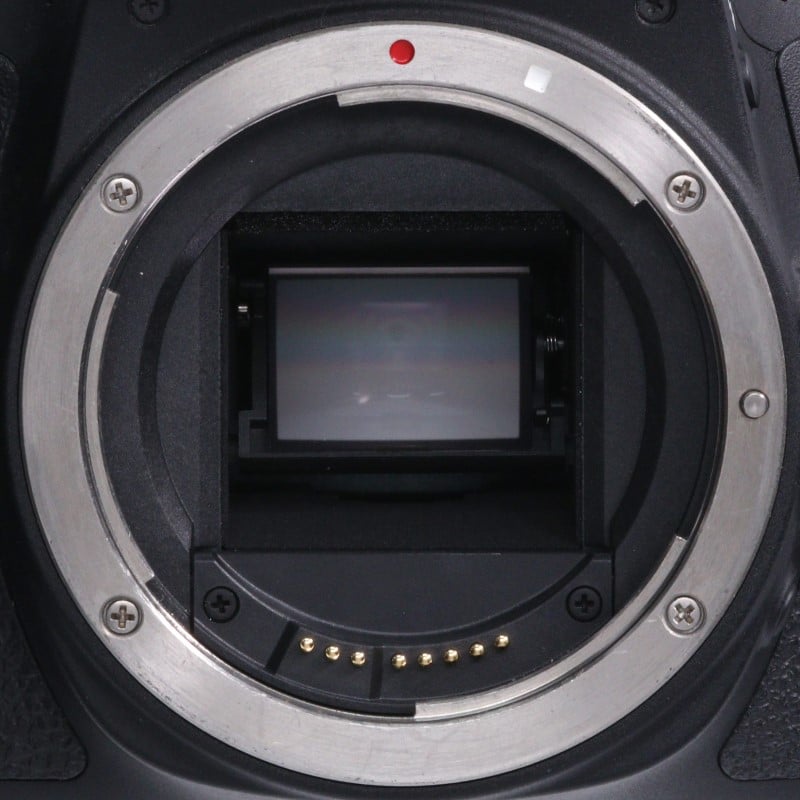 EOS 8000D ボディー