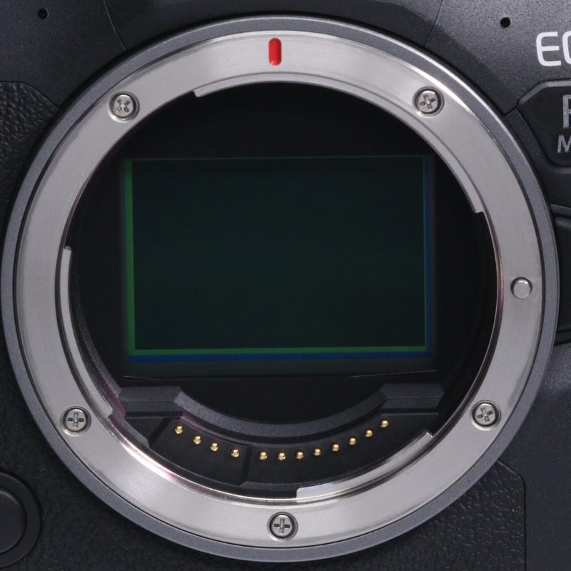EOS R6 Mark II ボディー
