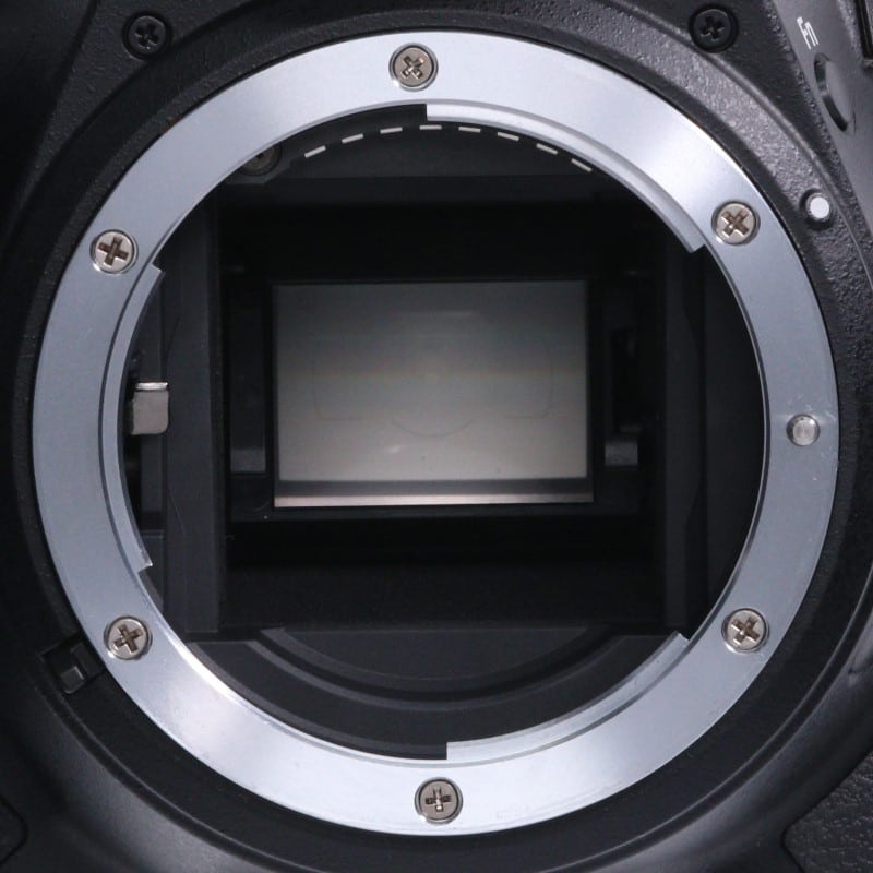 D5600 ボディ