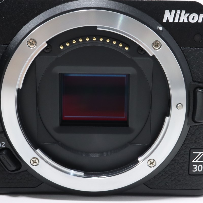 Z30 ボディ