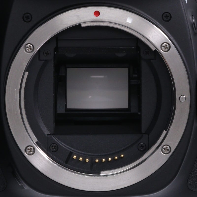 EOS 80D ボディー